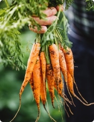 market-agriculture