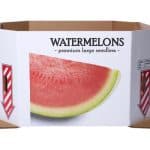 Greif Product Shots watermelon bin white