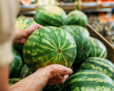 Taller Watermelon