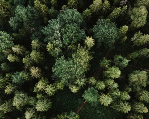 habitat management