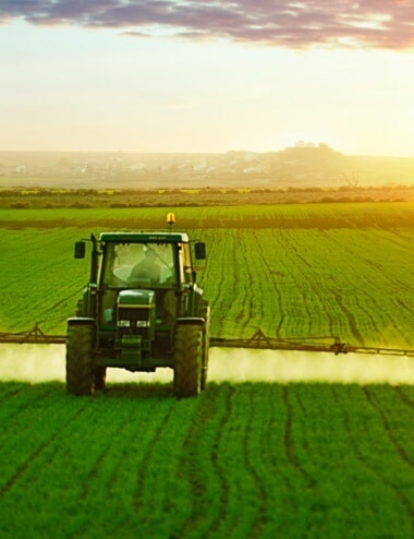 market agriculture