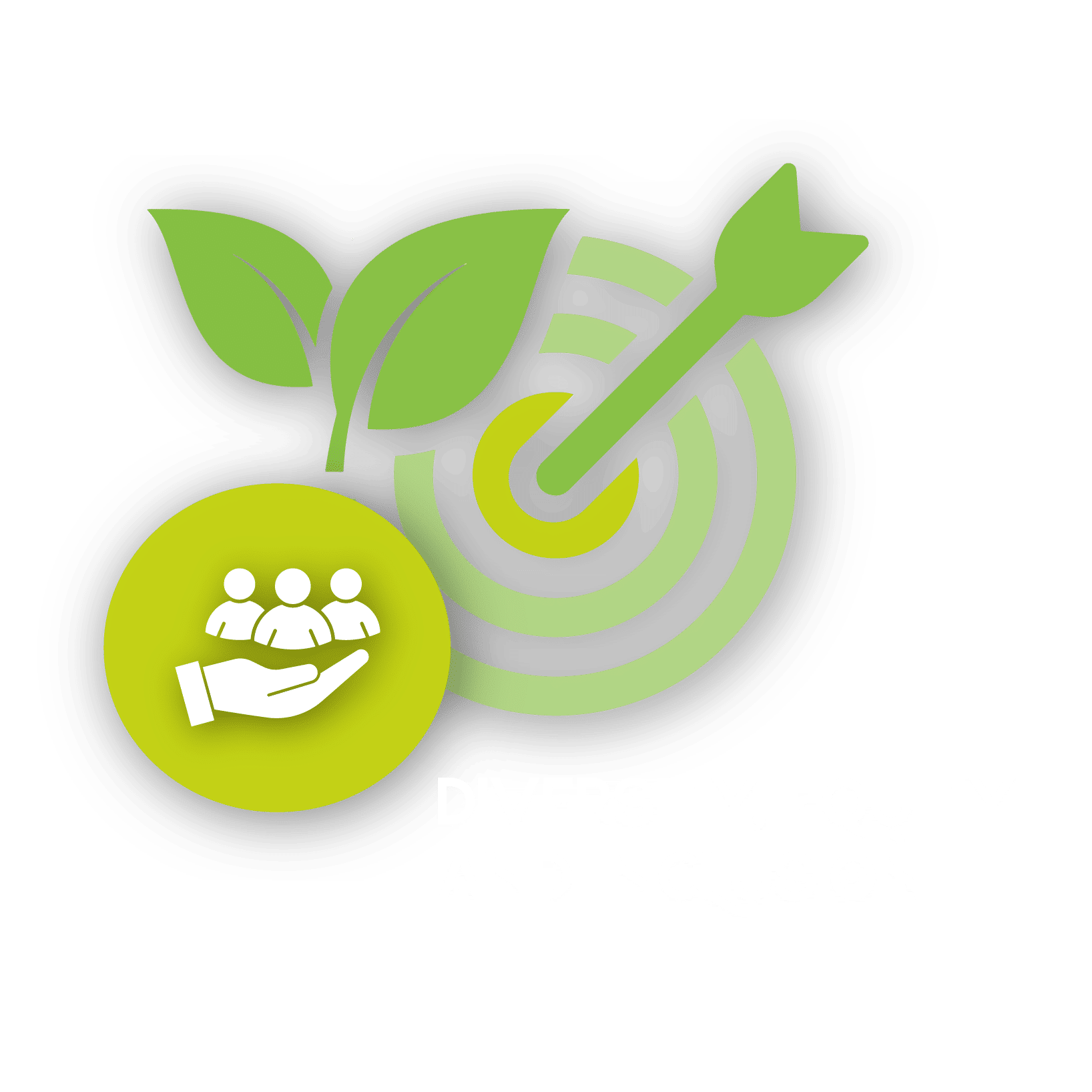 4 Diversity Equity Inclusion Target graphic