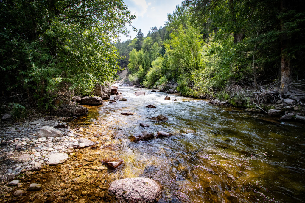 Yellowstone and out West 2021