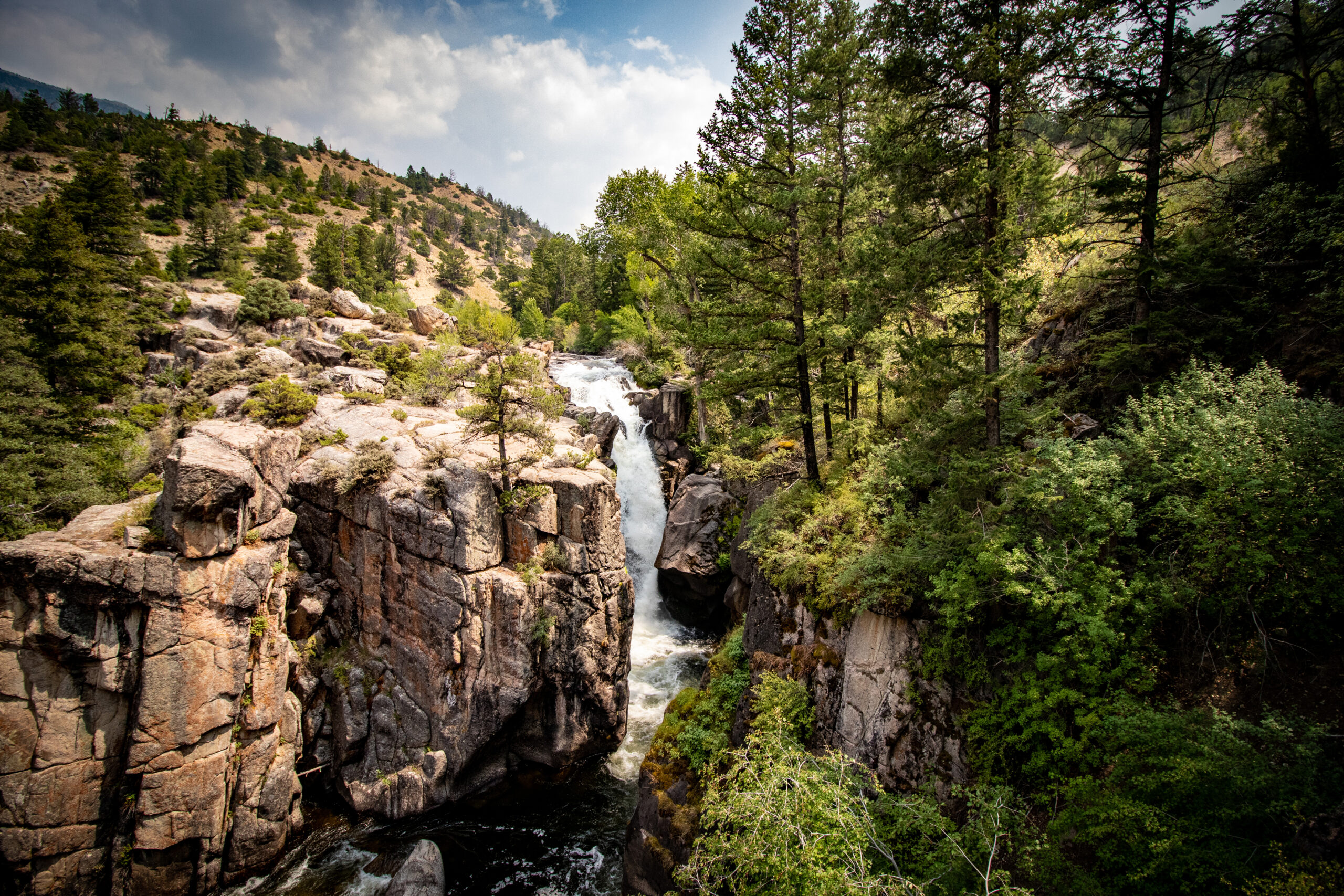 Yellowstone and out West 2021