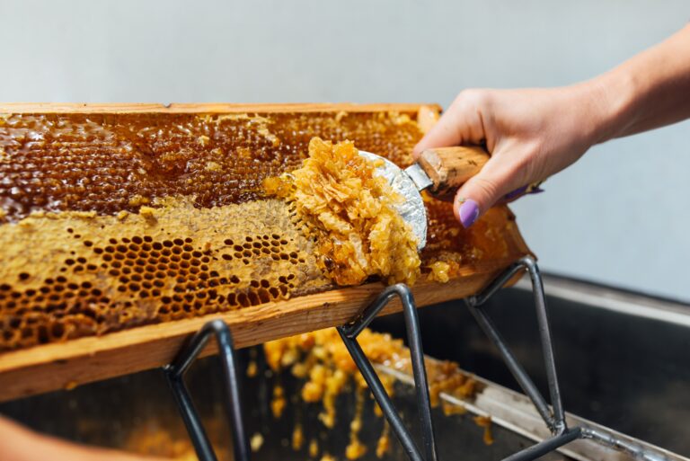 Remove wax from honeycomb