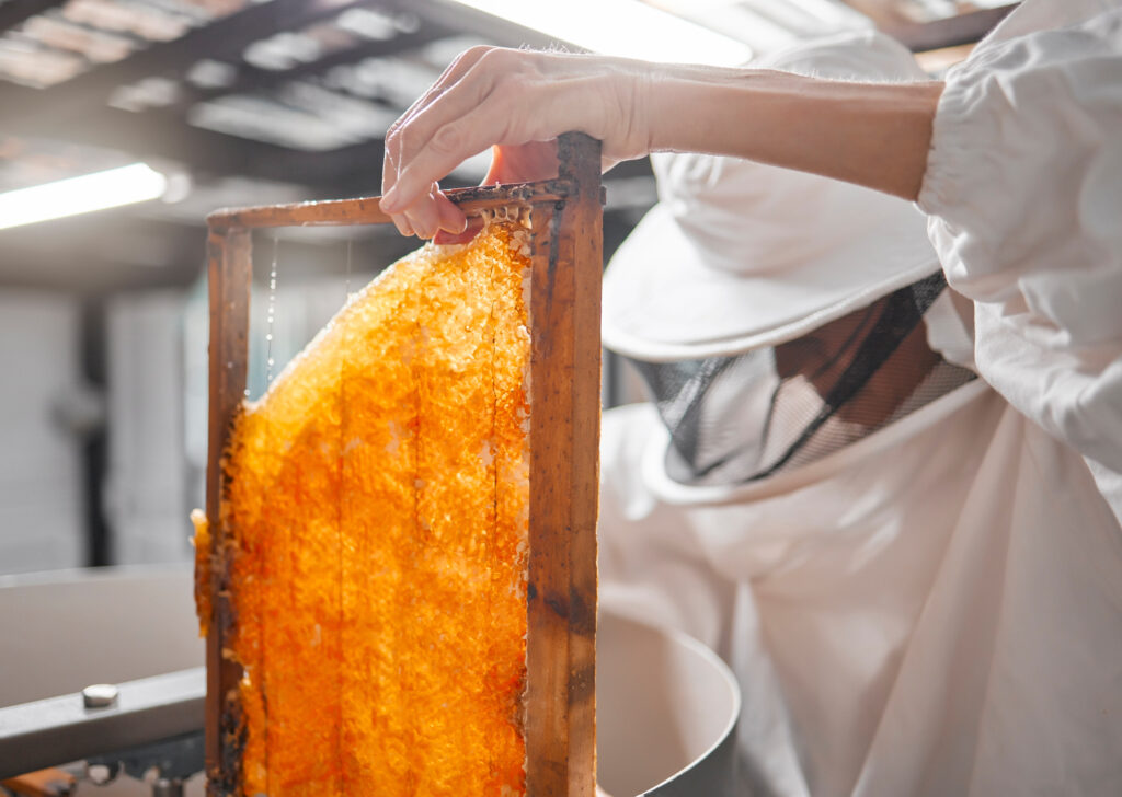 Honey, frame and beekeeper