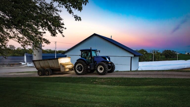 A farmer in a blue tractor drives to feed his cattle