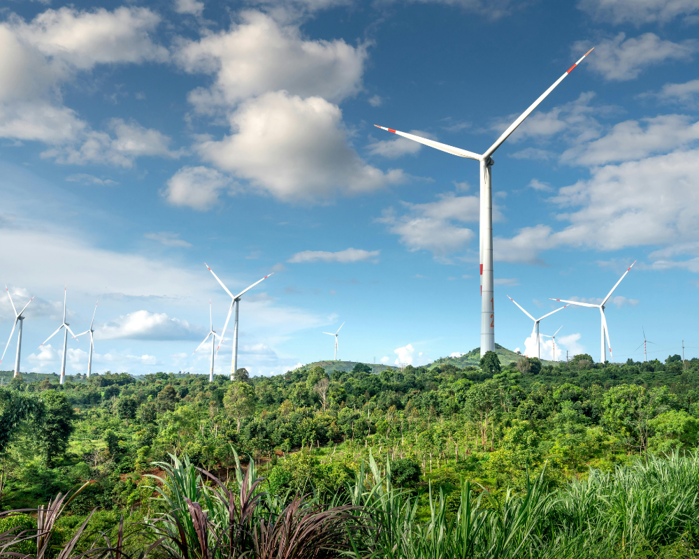 How the Greif Green Tool Is Evolving to Deliver Even Greater Sustainability Value